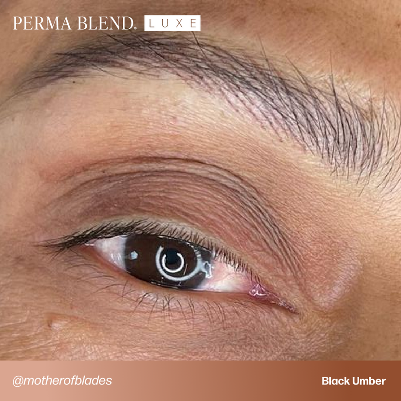 Close-up of a stylized eyebrow using PERMABLEND LUXE Black Umber, showcasing the warm undertones and natural appearance on the skin.