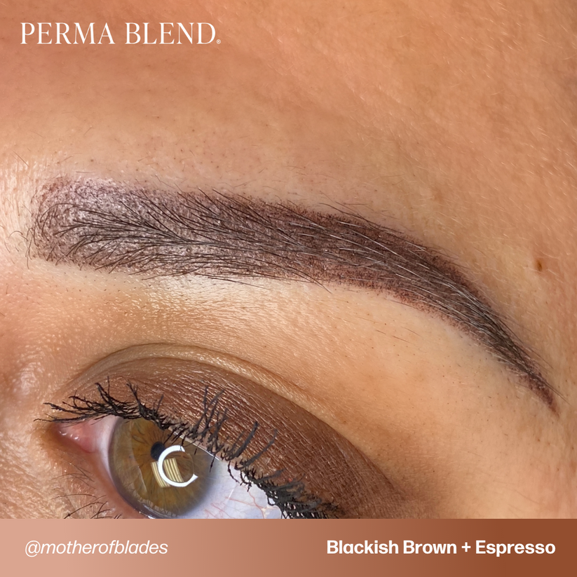 Example of a finished eyebrow look using Permablend Espresso 15ml, showcasing the perfect dark brown shade for permanent makeup.