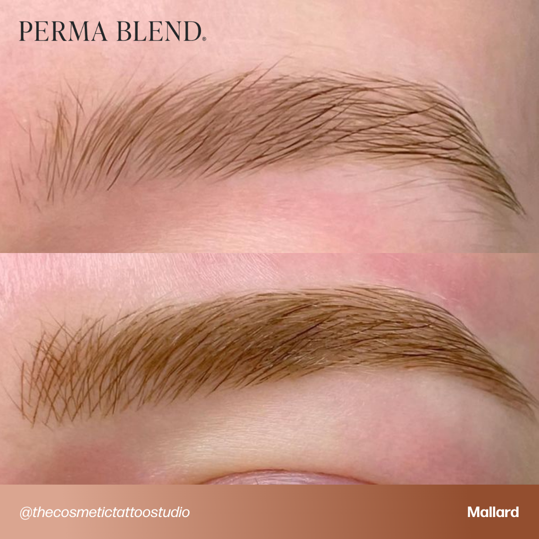 Permablend Mallard - Dark Brown Brow Pigment with Medium Opacity for Authentic Color - SD Cosmetics Care