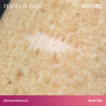 Permablend Pink Dermis Tattoo Ink - 15 mL by Mandy Sauler for Skin Tone Matching & Scar Camouflage - SD Cosmetics Care