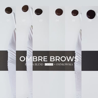 Perma Blend Luxe PMU Ink - Paulina Osinkowska Ombre Brows Set - 6x 15 ml