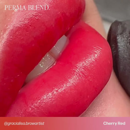 Permablend Luxe Cherry Red 15ml - Medium Opacity Cool Tone Tattoo Ink for Artistry