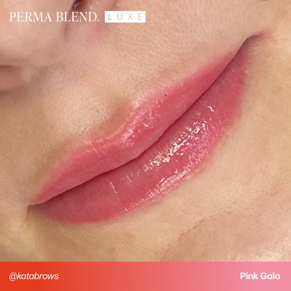 PERMABLEND LUXE Pink Gala 15ml packaging displayed with a elegant design suitable for professional makeup artists.