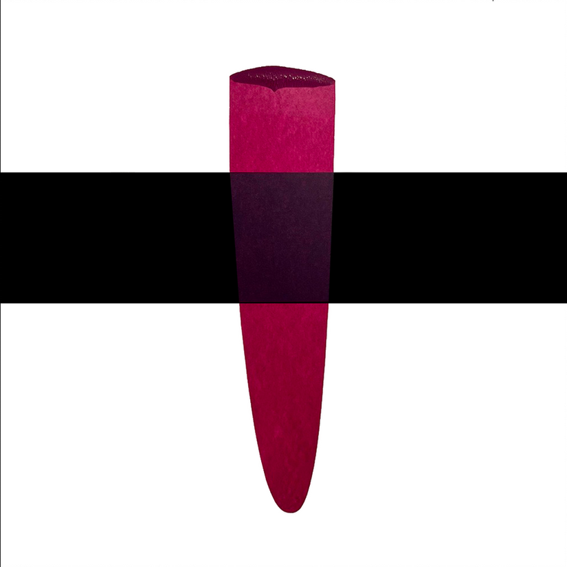 Packaging of Permablend Fiery Fuchsia pigment, ideal for permanent makeup enthusiasts looking for daring lip colors.